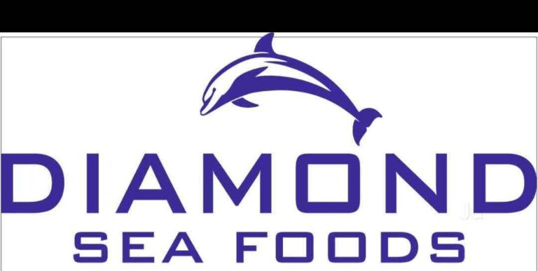 diamond-sea-foods-jayanagar-4th-block-bangalore-seafood-wholesalers-oo3xofnn16